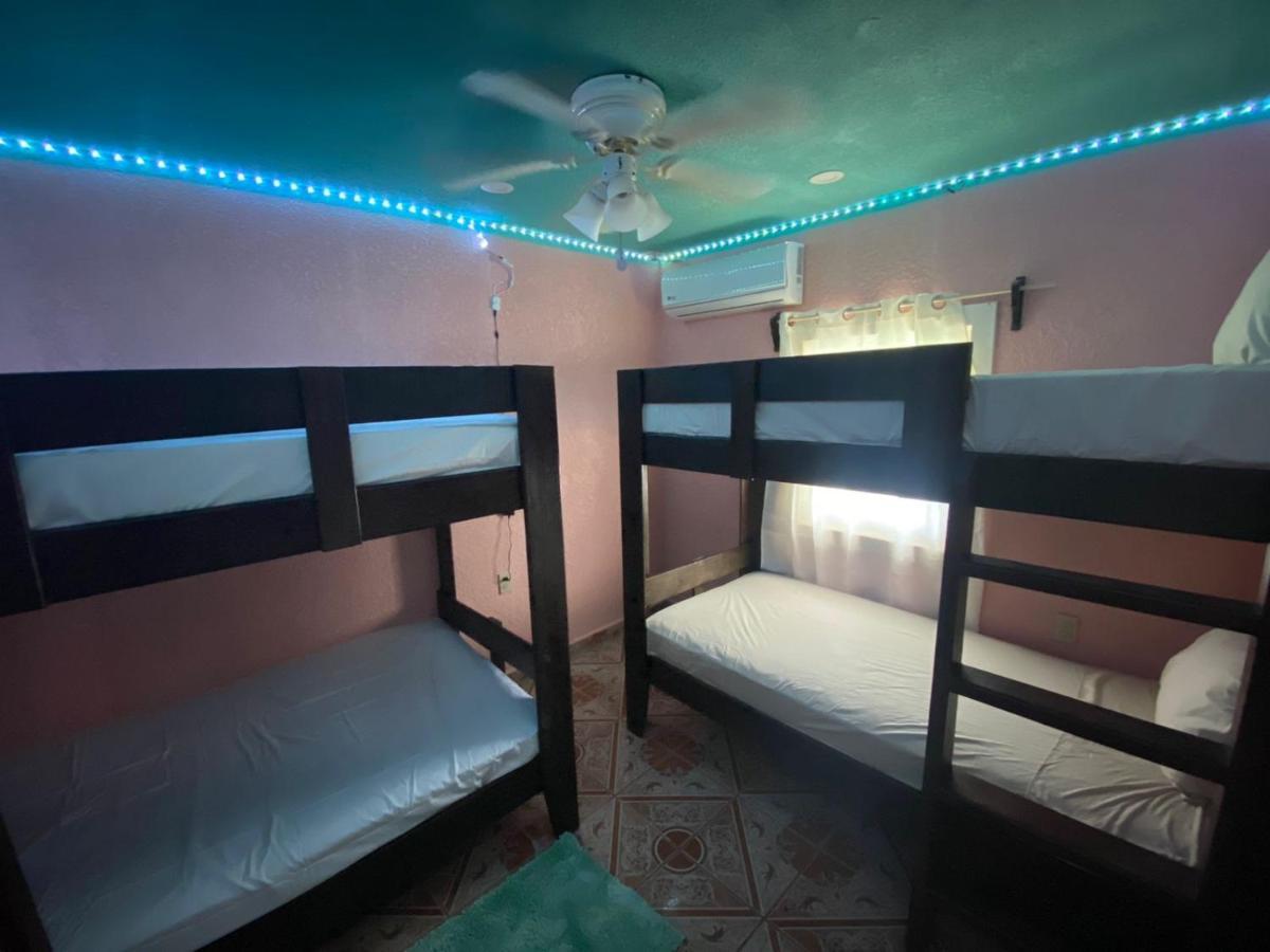 Six Huts Forest View Apartment מראה חיצוני תמונה