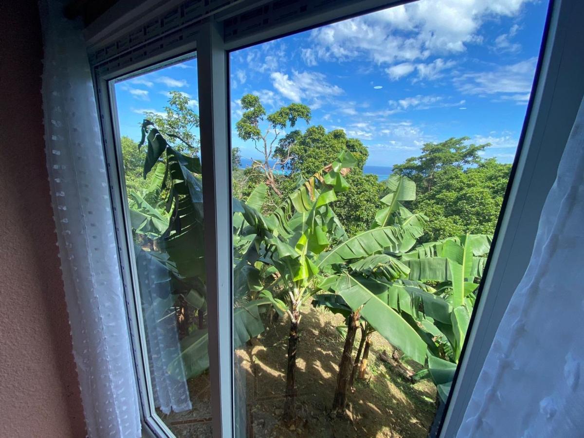Six Huts Forest View Apartment מראה חיצוני תמונה